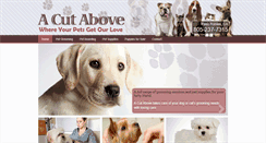 Desktop Screenshot of acutaboveca.com