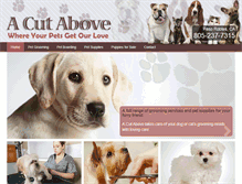 Tablet Screenshot of acutaboveca.com